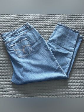 Just My Size JMS Jeans Womens 24W High Rise Classic Fit Straight Stretch Denim